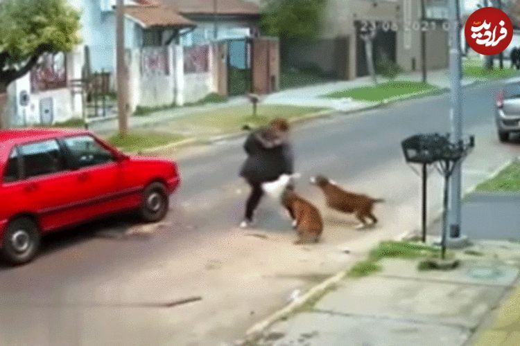 حمله هولناک سه سگ به یک زن جوان