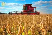 ببینید| مراحل برداشت و فرآوری سویا در مزارع و کارخانه های آمریکا