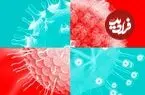 چند تفاوت کلیدیِ کروناویروس‌ها و هانتاویروس‌ها