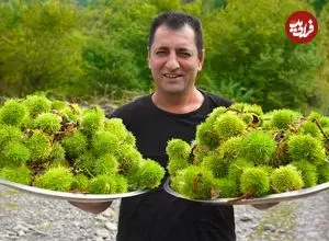 ببینید| غذای روستایی در آذربایجان؛ پخت یک غذای سنتی با شاه بلوط و گوشت بره