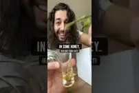 (ویدئو) با این روش ساده و سریع گل رُز را در خانه تکثیر کنید