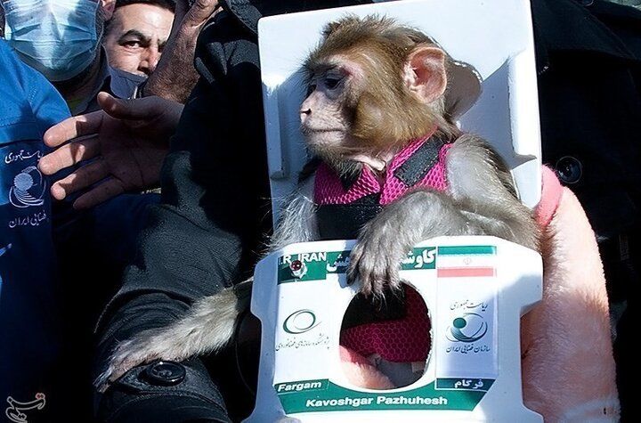 (عکس) میمون‌های فضانورد ایرانی ۱۲ سال پس از پرتاب کجا هستند؟