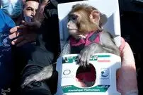 (عکس) میمون‌های فضانورد ایرانی ۱۲ سال پس از پرتاب کجا هستند؟
