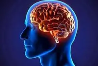 ۷ راهکار برای تقویت حافظه کوتاه مدت
