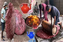 (ویدئو) فرآیند جالب «بازیافت پلاستیک» و ساخت ظروف پلاستیکی  در پاکستان