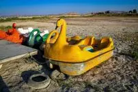 تصاویر؛ مرگ نیلوفرِ کرمانشاه