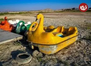 تصاویر؛ مرگ نیلوفرِ کرمانشاه