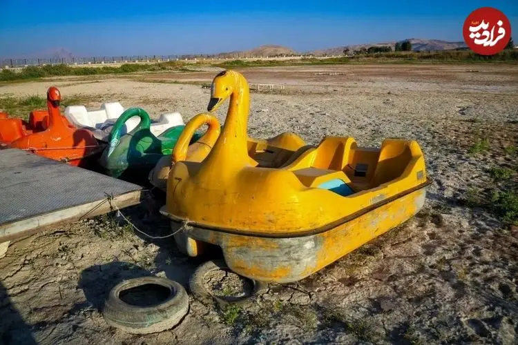 تصاویر؛ مرگ نیلوفرِ کرمانشاه