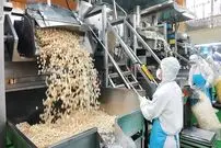 ببینید| پاپ کورن (پف فیل) چگونه در کارخانه های کره جنوبی تولید می شود؟