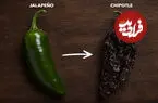 وقتی خشک شدن باعث تغییر نام می شود! ؛ قابل توجه علاقه مندان به آشپزی مکزیکی + اینفوگرافیک