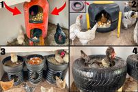 (ویدئو) 4 روش برای تبدیل کپسول گاز و لاستیک قدیمی به لانه مرغ و خروس ها
