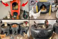 (ویدئو) 4 روش برای تبدیل کپسول گاز و لاستیک قدیمی به لانه مرغ و خروس ها