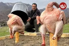 ببینید| غذای روستایی در آذربایجان؛ کباب کردن بوقلمون های بزرگ زیر بشکه