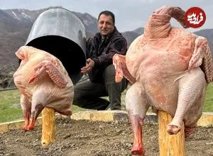 ببینید| غذای روستایی در آذربایجان؛ کباب کردن بوقلمون های بزرگ زیر بشکه