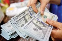 جدول؛ قیمت دلار بازار آزاد امروز چهارشنبه ۵ شهریور ۱۴۰۴ 