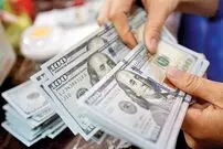 جدول؛ قیمت دلار بازار آزاد امروز چهارشنبه ۵ شهریور ۱۴۰۴ 