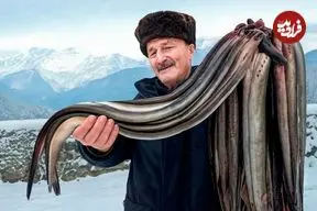 ببینید| غذای روستایی در آذربایجان؛ کباب کردن و پخت غذا با مارماهی در هوای برفی