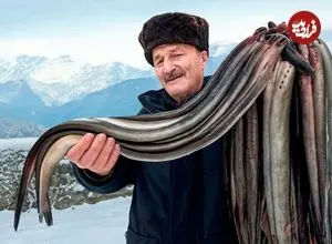 ببینید| غذای روستایی در آذربایجان؛ کباب کردن و پخت غذا با مارماهی در هوای برفی