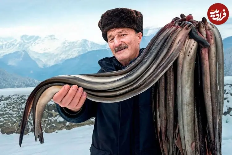 ببینید| غذای روستایی در آذربایجان؛ کباب کردن و پخت غذا با مارماهی در هوای برفی