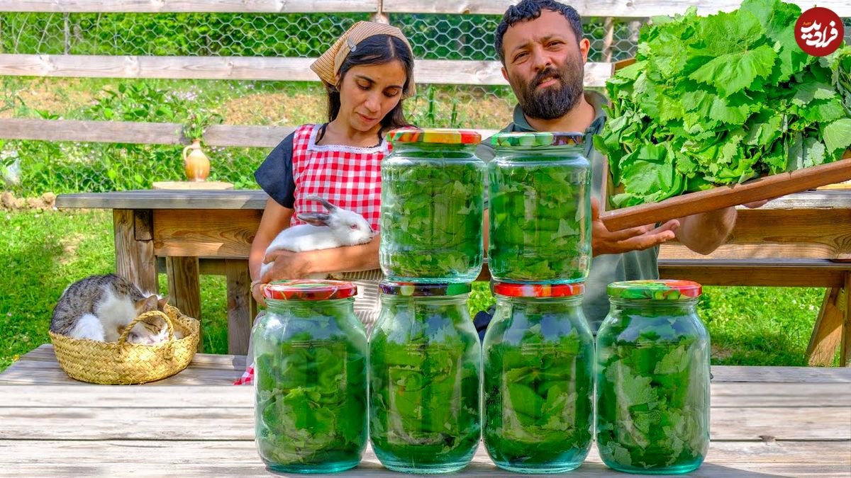 ببینید؛ غذای روستایی در آذربایجان؛ تهیه ترشی برگ مو و پخت غذا با آن