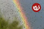 ببینید| آبشاری که از دل ابرها فرو می‌ریزد