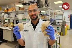 مزایای شگفت‌انگیز خمیردندان ساخته‌شده از «مو»