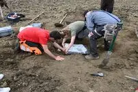 (تصاویر) کشف گنجینۀ مرموز ۳۵۰۰ ساله در یک مزرعۀ هویج 