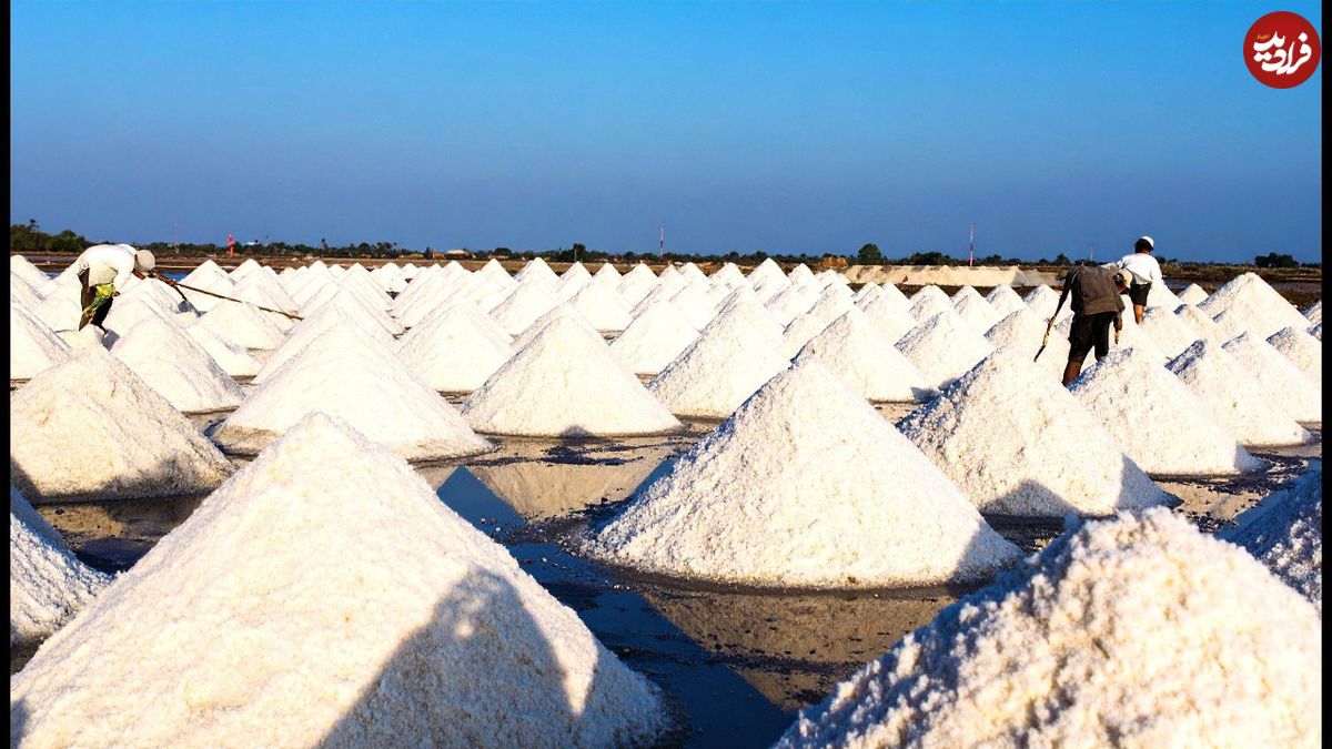 ببینید؛ مراحل تماشایی استخراج و فرآوری صدها تن نمک در چین