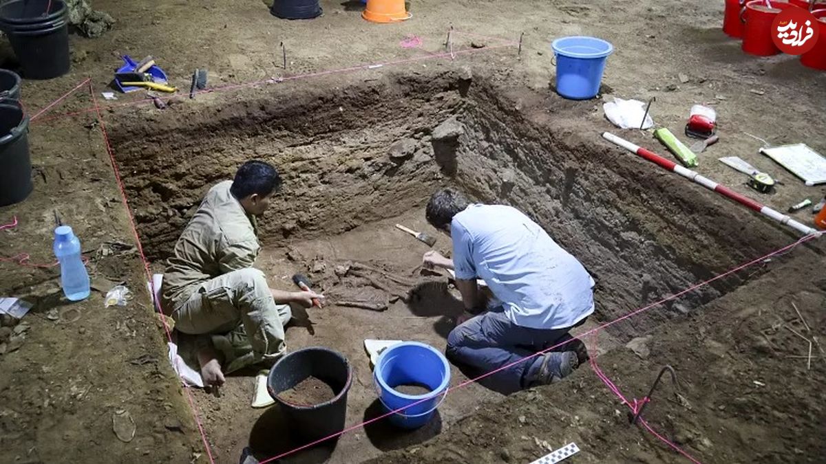 کشف شواهدی از یک عمل جراحی موفقیت آمیز مربوط به ۳۱ هزار سال قبل