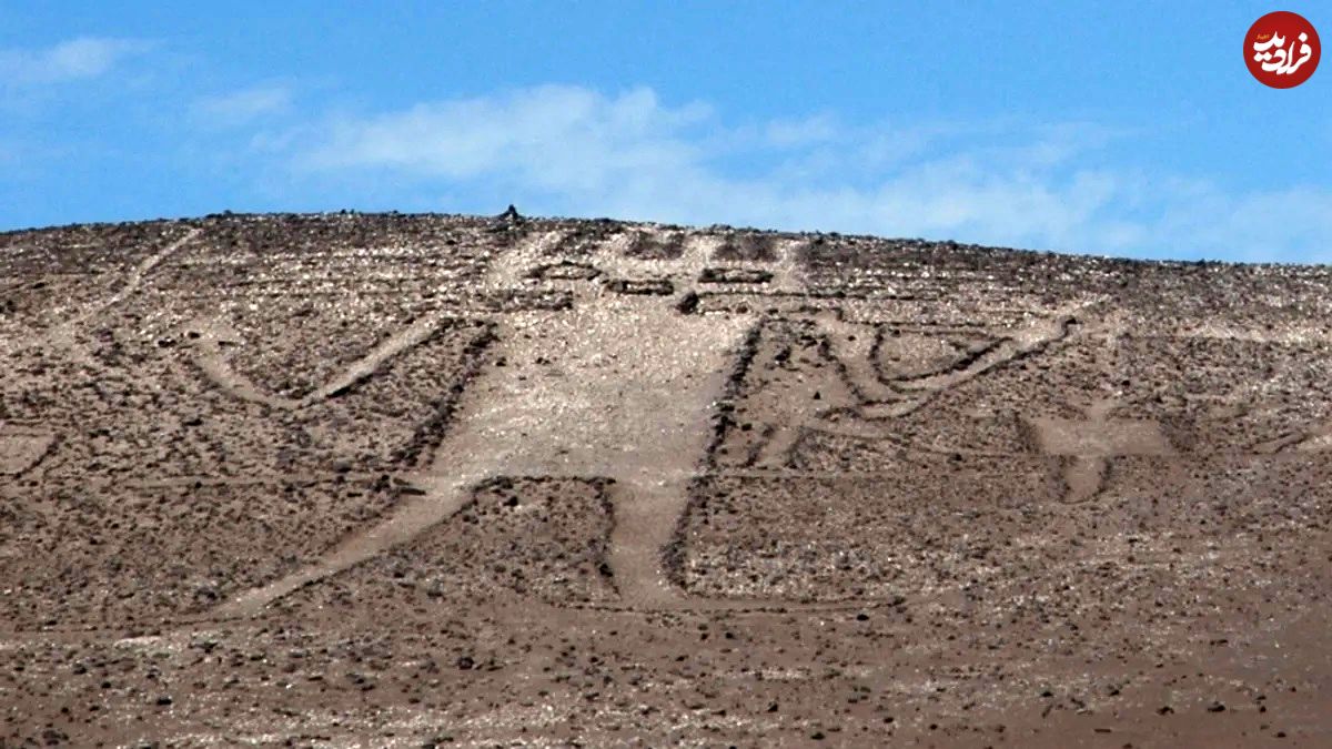 غول ۱۱۹ متری آتاکاما؛ بزرگترین تصویر «انسان‌نمای» ماقبل تاریخ