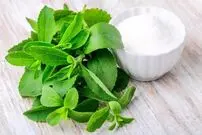 این گیاه یک جایگزین سالم برای قند مصنوعی