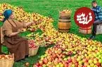 ببینید| غذای روستایی در آذربایجان؛ تهیه آب سیب و یک دسر متفاوت با سیب، عسل و گردو