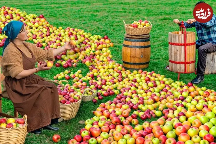 ببینید| غذای روستایی در آذربایجان؛ تهیه آب سیب و یک دسر متفاوت با سیب، عسل و گردو