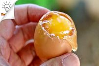 ببینید؛ 8 ایده خلاقانه برای پختن تخم مرغ 