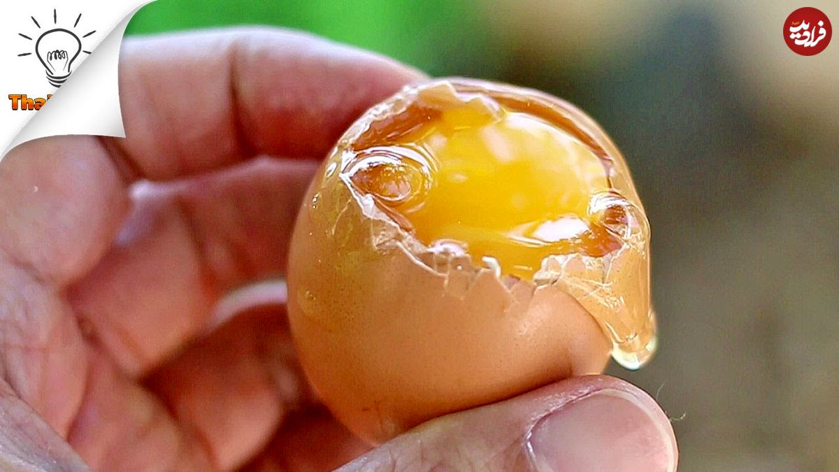 ببینید؛ 8 ایده خلاقانه برای پختن تخم مرغ