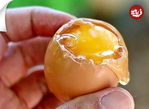 ببینید؛ 8 ایده خلاقانه برای پختن تخم مرغ 