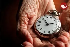 کاهش کالری، کلید افزایش طول عمر؛ فقط ۱۰ درصد کمتر بخورید