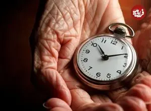 کاهش کالری، کلید افزایش طول عمر؛ فقط ۱۰ درصد کمتر بخورید