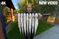 ببینید| غذای روستایی در روسیه؛ دودی کردن ماهی کفال روی زغال توسط آشپز مشهور داغستانی