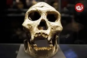 تصاویر؛ اسرار پای ۳.۴ میلیون‌ساله؛ کشف تازه دیرین انسان‌شناسان از فسیلی مرموز در آفریقا