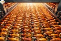 (ویدئو) غذای خیابانی در چین؛ فرآیند پخت 3600 اردک کبابی در رستوران مشهور پکنی