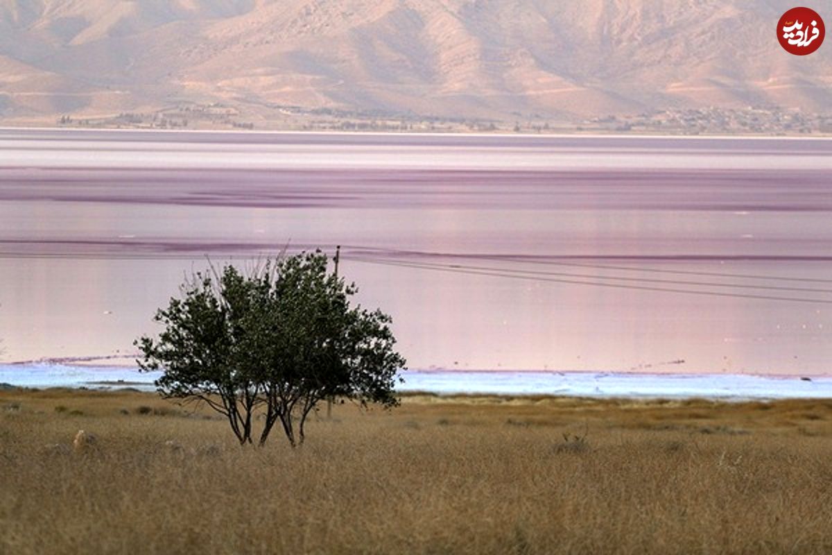 تصاویری منحصربفرد از دریاچه صورتی ایران