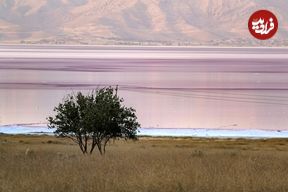 تصاویری منحصربفرد از دریاچه صورتی ایران