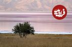 تصاویری منحصربفرد از دریاچه صورتی ایران