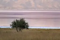 تصاویری منحصربفرد از دریاچه صورتی ایران
