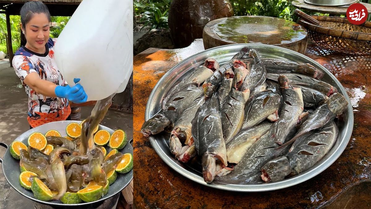 ببینید؛ غذای روستایی در چین؛ پخت یک غذای سنتی با نودل، پرتقال و گربه ماهی