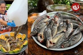 ببینید؛ غذای روستایی در چین؛ پخت یک غذای سنتی با نودل، پرتقال و گربه ماهی 