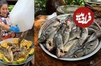 ببینید؛ غذای روستایی در چین؛ پخت یک غذای سنتی با نودل، پرتقال و گربه ماهی 