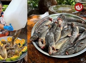 ببینید؛ غذای روستایی در چین؛ پخت یک غذای سنتی با نودل، پرتقال و گربه ماهی 
