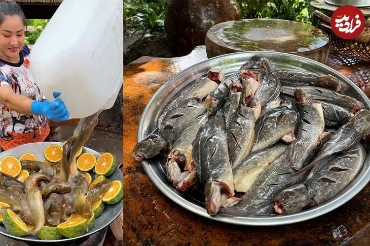 ببینید؛ غذای روستایی در چین؛ پخت یک غذای سنتی با نودل، پرتقال و گربه ماهی 